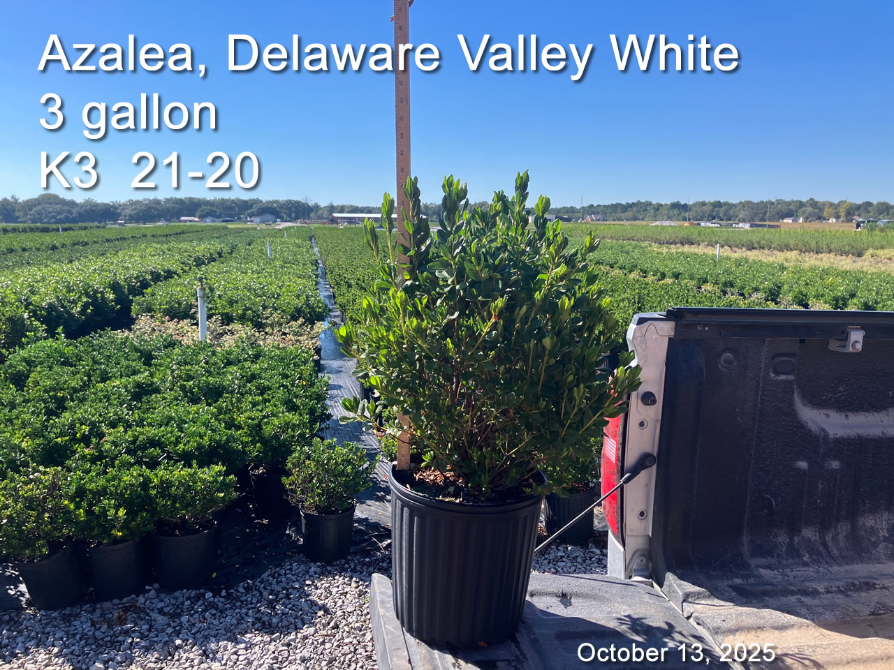 gallery/dvw3 k3 oct13.jpg